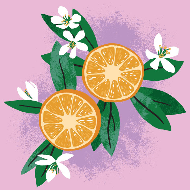 半橘色的组合图片下载