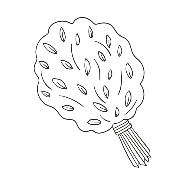 用白色背景上孤立的树叶涂鸦桑拿扫帚。手绘，简单的轮廓插图。可用于纺织、纸张的装饰。图片下载