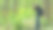 年轻的摄影师站在大自然中，用专业的相机拍照图片下载