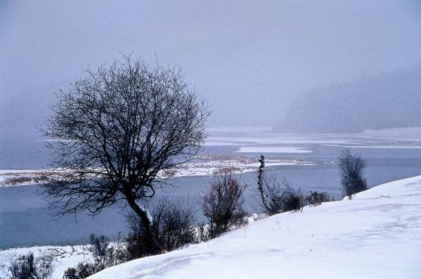 高原湖泊，近有阳光，远有雪图片下载