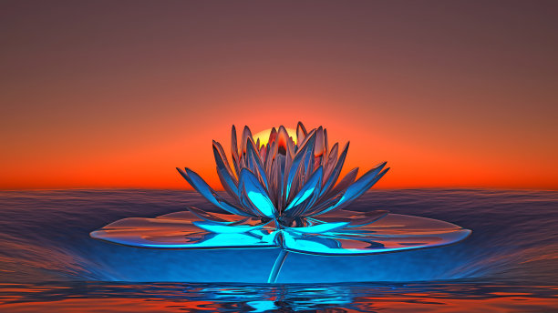 夕阳下大海中巨大的半透明睡莲图片下载