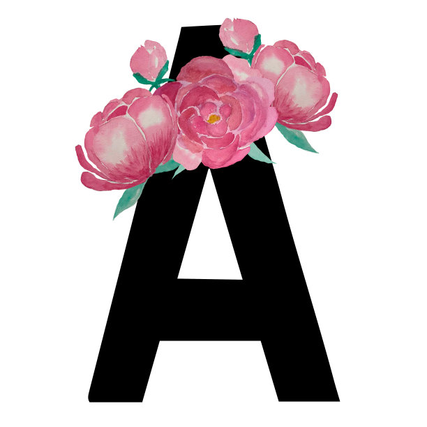 字母A配粉色牡丹水彩花。玫瑰牡丹花蕾，牡丹花瓣水彩插图。手绘的设计元素隔离在透明的背景上进行升华，t恤，马克杯图片下载