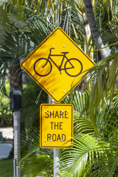 分享之路图片下载