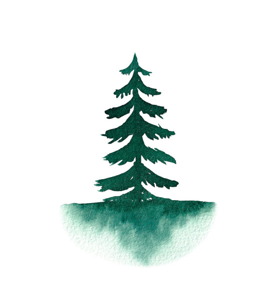 水彩圣诞树。手绘插图。图片下载