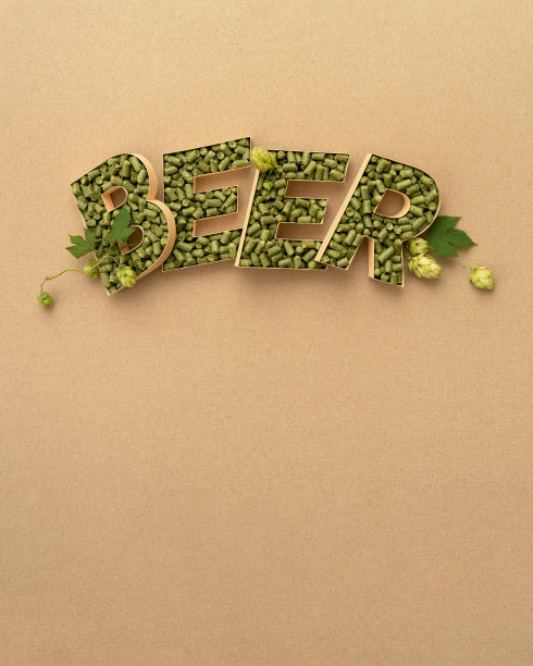 啤酒节的背景与啤酒一词图片下载