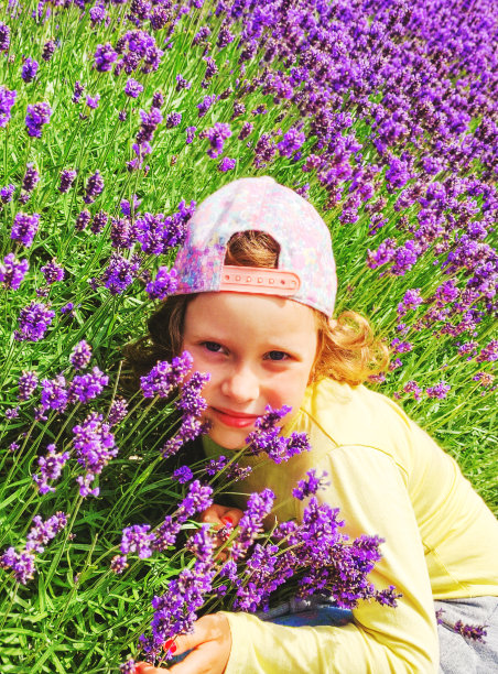 7岁的白人孩子，微笑着看着镜头。女孩的背景是紫色薰衣草花。图片下载