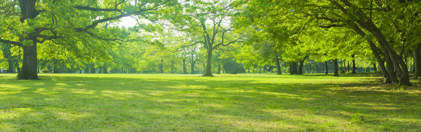 绿色的花园图片下载