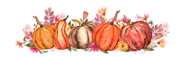 水彩插图。图片下载