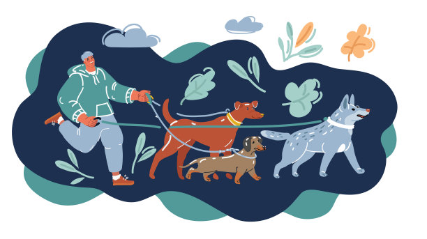 卡通矢量插图遛狗者走了很多狗图片下载