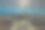 雄伟的绿海龟。图片下载