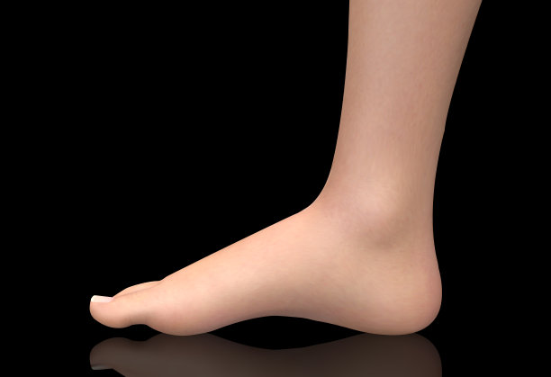 3d插图，矢量足量，健康和鞋的选择图片下载