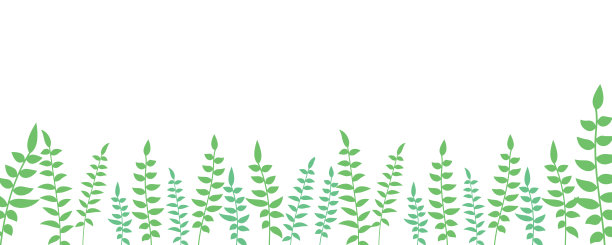 自然的图案，树枝上有柔和的绿色叶子图片下载