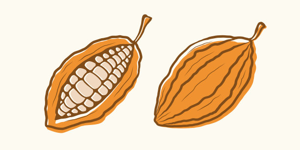 矢量复古插图的可可。矢量集图标的可可在手绘风格。图片下载