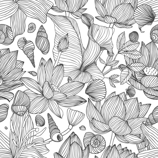 无缝图案的什锦花和贝壳图片下载