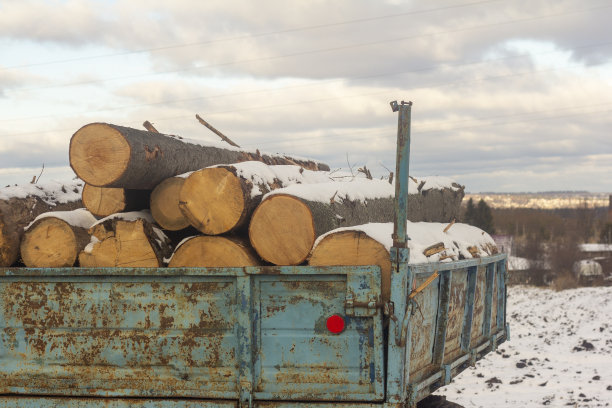 马车上的一堆木头。为冬天收集柴火。图片下载