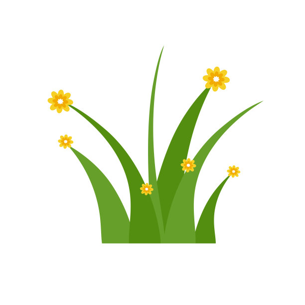 绿草孤立在白底，花图片下载