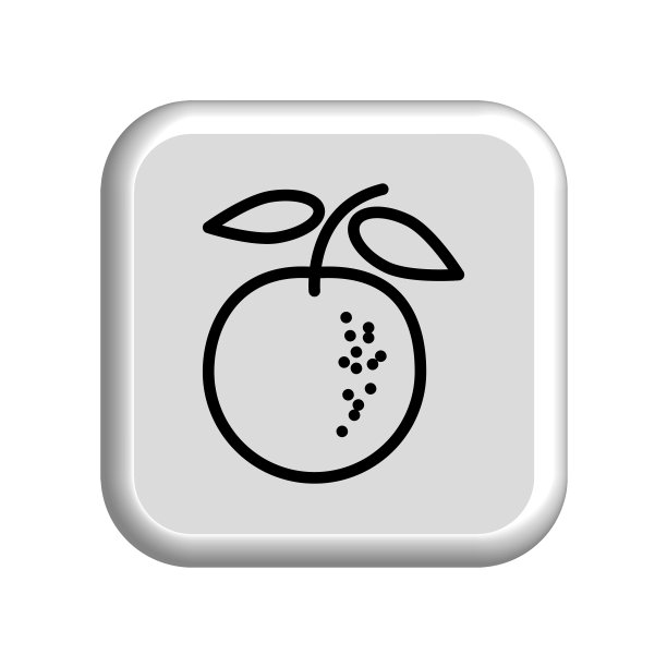 插图矢量图形的橘子水果图标模板图片下载