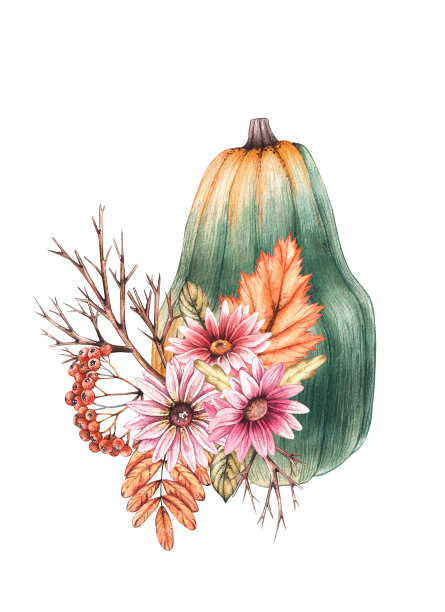 水彩南瓜花和干叶子在白色的背景图片下载