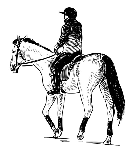 骑师骑马的手绘图片下载