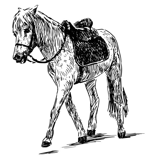 手画行走的马具图片下载