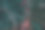 绿色的热带树叶，深色的自然背景图片下载