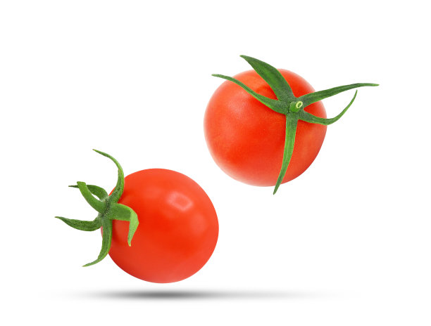 整个番茄落在空中，孤立在白色上图片下载