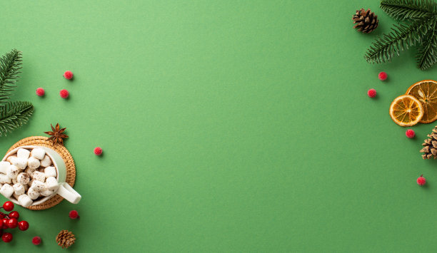 新年的概念。云杉树枝松果的俯视图照片，马克杯的可可与棉花糖在藤垫槲寄生浆果和干橙片在孤立的绿色背景与copyspace图片下载