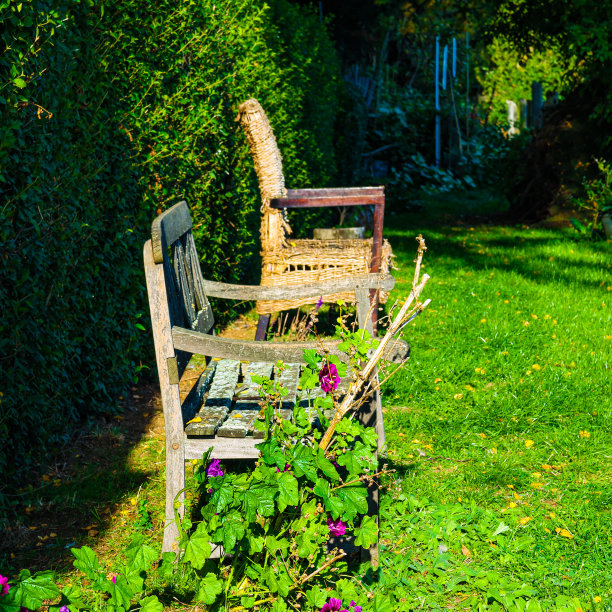 花园中的旧木凳和柳条椅作为休息点图片下载