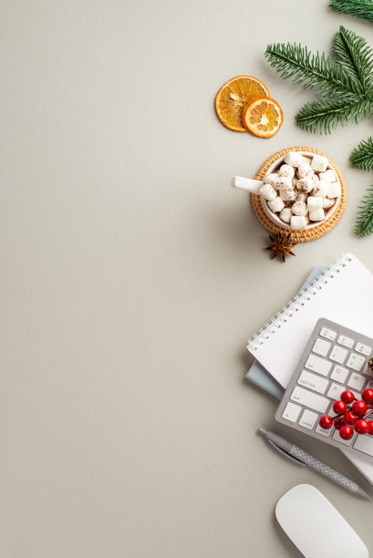 圣诞节的概念。顶视图垂直照片的马克杯可可与棉花糖笔记本笔键盘电脑鼠标干橙片槲寄生八角和松树枝孤立的灰色背景图片下载