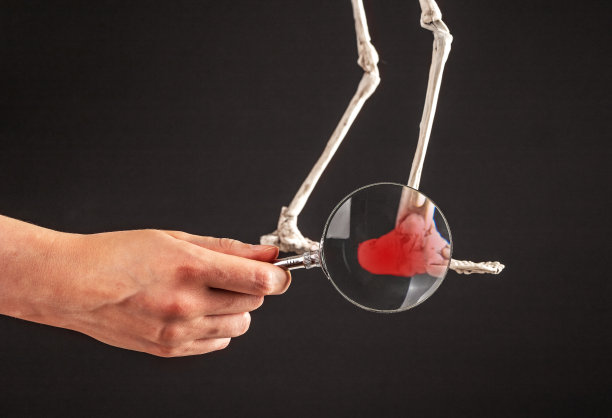 脚后跟疼痛，骨架脚和腿上有炎症图片下载