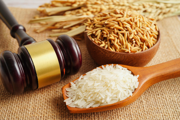 法官用来自农业农场的好稻米槌槌。法律和正义的法庭概念。图片下载