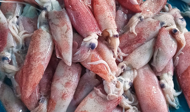 传统市场上鱿鱼的照片背景图片下载