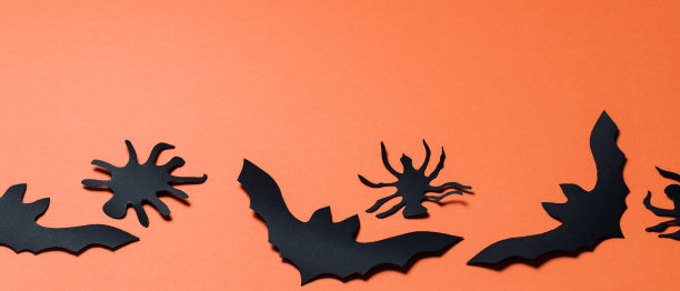万圣节背景与蝙蝠和蜘蛛在橙色的背景。万圣节的装饰品。本空间图片下载