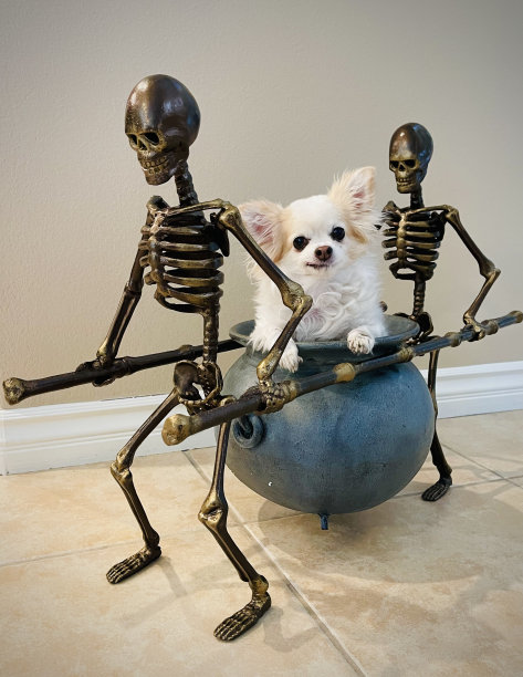 高速公路下地狱图片下载