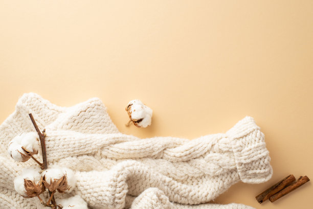 冬天的美学理念。俯视图照片白色针织毛衣肉桂棒和棉花枝孤立的米色背景与复制空间图片下载