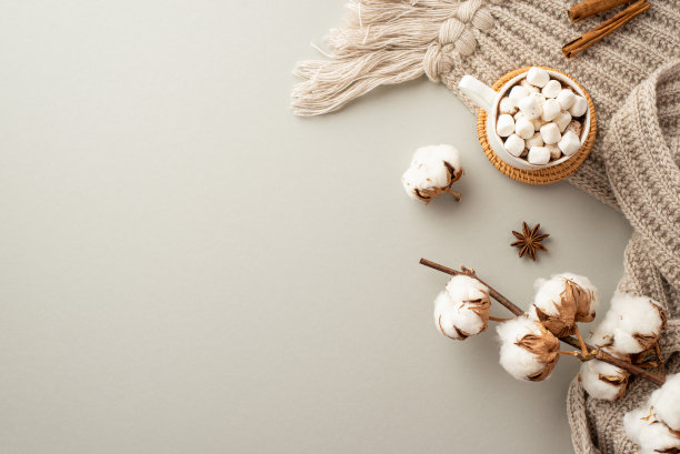 冬天的概念。俯视图照片针织格纹杯热巧克力与棉花糖在藤服务垫八角肉桂棒和棉花枝孤立的柔和灰色背景与copyspace图片下载