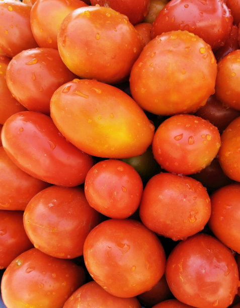 红番茄水果番茄蔬菜堆 番茄番茄茄科李子罗马tameto营养健康有益特写视图图片图片下载