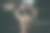 拳手将绳系在手中，双手敬师。图片下载