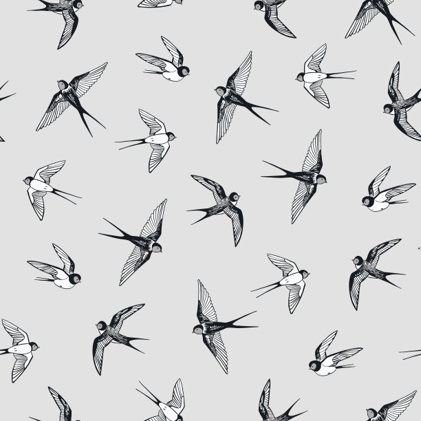 燕子鸟矢量无缝模式。图片下载