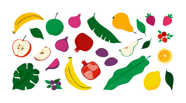 有机食品，抽象秋季水果套装。自然棕榈和怪兽叶，无花果和石榴收获，草莓和蓝莓，植物叶，纹理树，花卉背景。矢量模式图片下载
