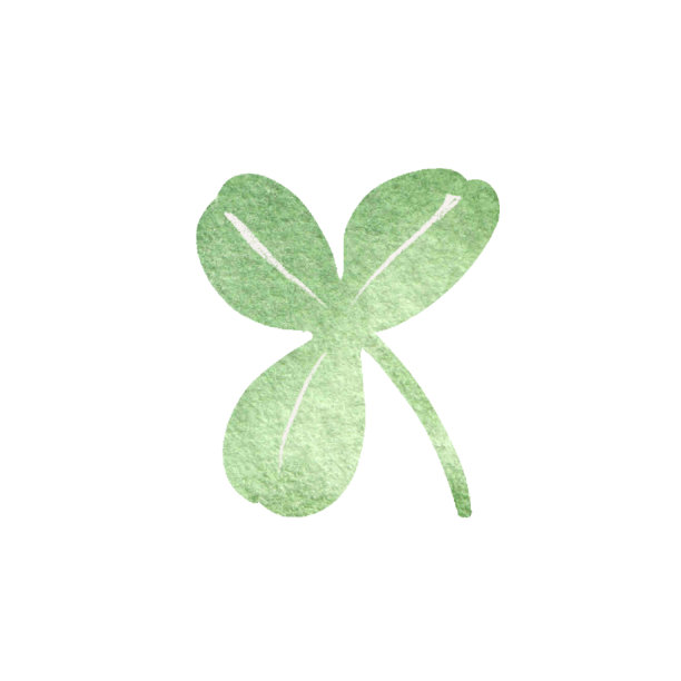 水彩三叶草的叶子孤立在白色图片下载