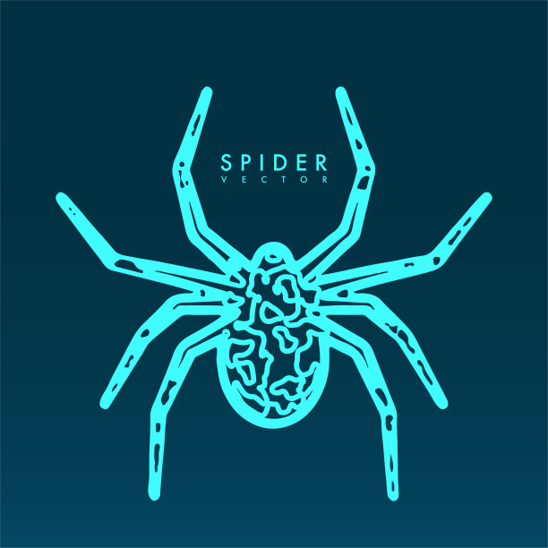 抽象的蜘蛛图解。图片下载