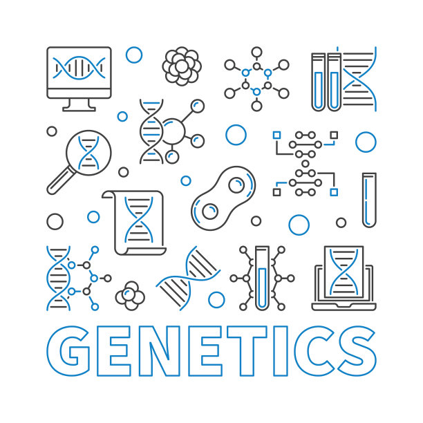 基因矢量正方形最小图解在细线风格图片下载