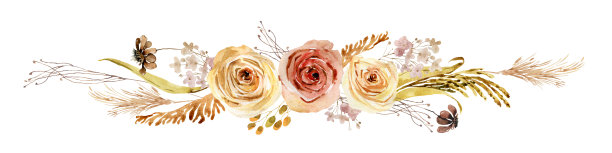 秋天花卉插图图片下载