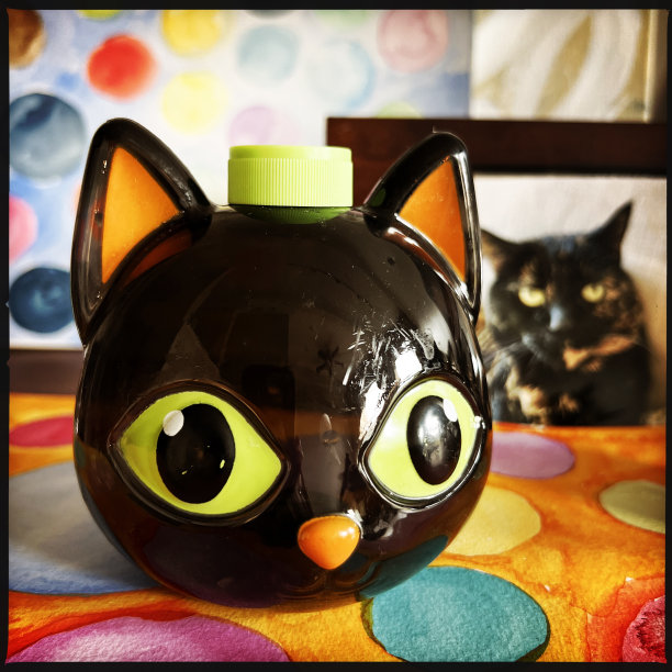 万圣节猫装饰附近的宠物猫的照片图片下载