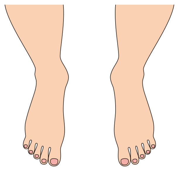 美丽的赤脚男人的脚。男性的脚趾。插图。向量。图片下载