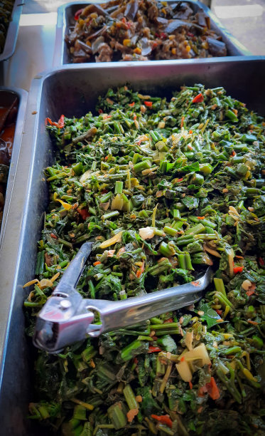 蕨类植物蔬菜图片下载