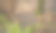 废弃工厂上被遗忘的家具特写照片。图片下载