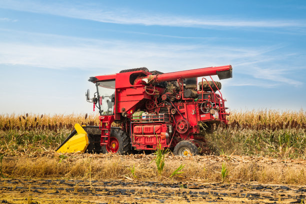 在田里收割玉米的机器图片下载