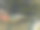 森林和小溪附近有足球场和网球场图片下载